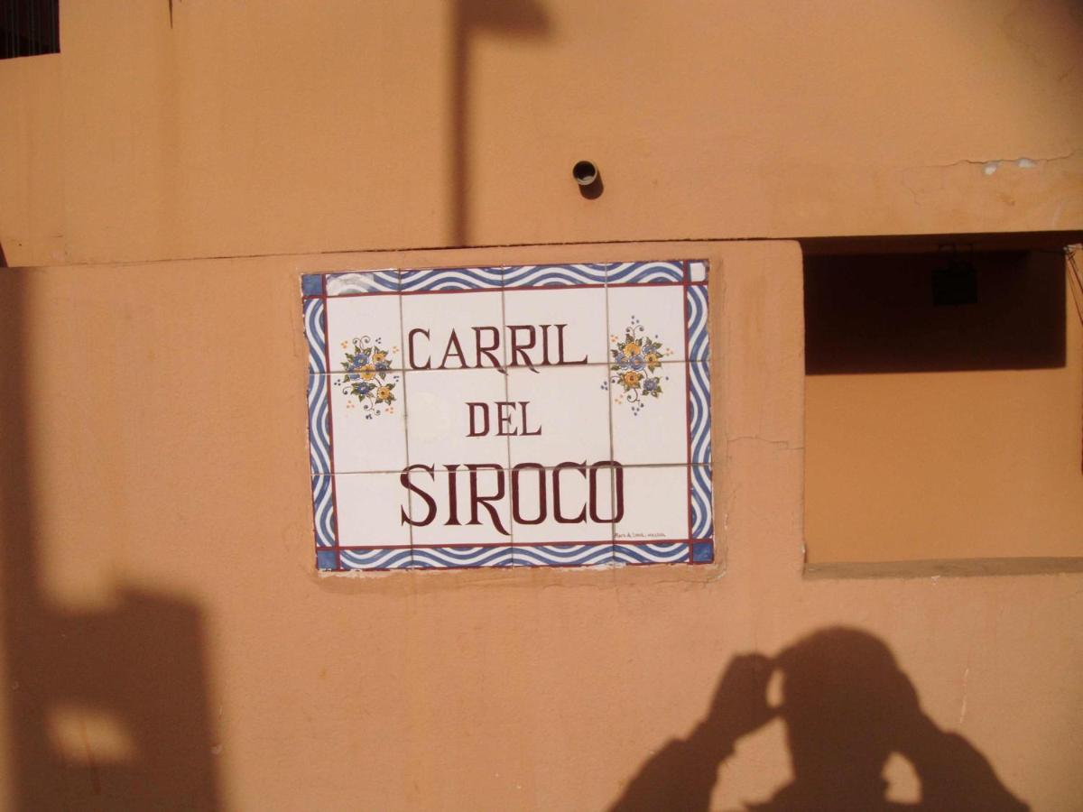 La Biznaga Estudio Frente Al Mar ベナルマデナ エクステリア 写真